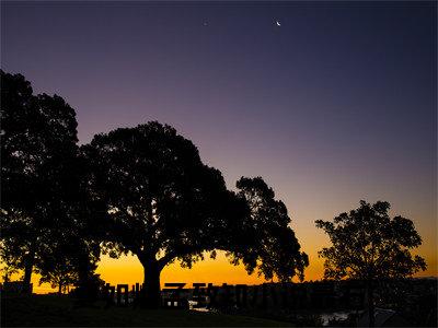 夏如烟孟致知小说完整版全文在线赏析-完结版小说（夏如烟孟致知）