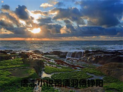 完结版司清羽傅铮阳小说在线阅读大结局-司清羽傅铮阳全文阅读已更新司清羽傅铮阳