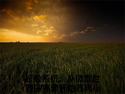 超级系统：从微型世界做神灵开始苏冉(超级系统：从微型世界做神灵开始苏冉)全文免费阅读无弹窗大结局_超级系统：从微型世界做神灵开始苏冉章节列表