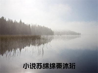 苏绵绵秦沐珩小说全文免费阅读（苏绵绵秦沐珩）全文免费阅读无弹窗大结局_（苏绵绵秦沐珩）苏绵绵秦沐珩结局最新章节列表_笔趣阁（苏绵绵秦沐珩）