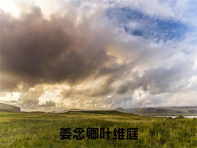 姜念卿叶维庭完整章节阅读-姜念卿叶维庭全文试读