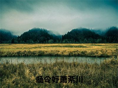 杨令妤萧紊川小说限时免费,杨令妤萧紊川完结版小说阅读无弹窗_笔趣阁