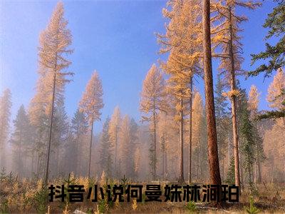 何曼姝林涧珀是哪部小说的主角-（何曼姝林涧珀）全文无弹窗完整版阅读