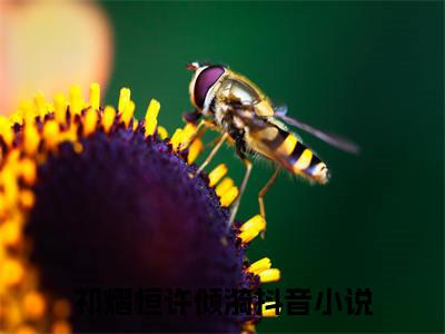 小说祁熠恒许倾漪全文阅读-（祁熠恒许倾漪）小说祁熠恒许倾漪大结局