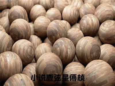 (鹿弦星傅桢)最新章节在线阅读-小说无弹窗免费阅读