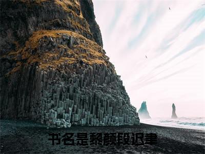 黎颜段迟聿小说(黎颜段迟聿)全文免费黎颜段迟聿阅读无弹窗大结局
