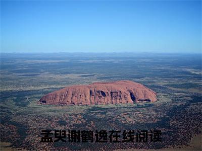 孟臾谢鹤逸热文结局在线阅读 孟臾谢鹤逸完整版小说