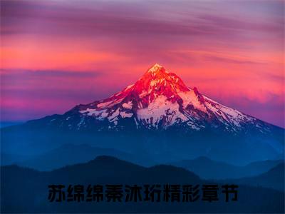 苏绵绵秦沐珩小说-《心底的悸动又一次萌发》完整章节阅读无弹窗免费阅读大结局