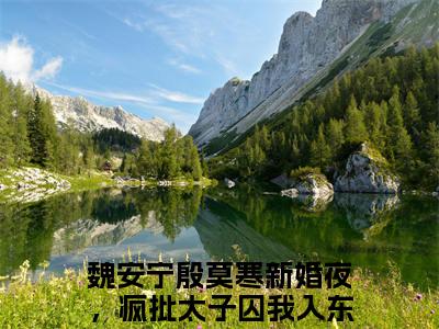 魏安宁殷莫寒新婚夜，疯批太子囚我入东宫小说最新试读_魏安宁殷莫寒是(魏安宁殷莫寒新婚夜，疯批太子囚我入东宫全文完整版免费阅读)_笔趣阁