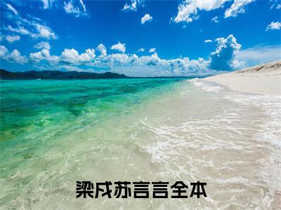 高赞小说梁戍苏言言（梁戍苏言言小说免费阅读）完结阅读_梁戍苏言言全文免费阅读最新章节大结局
