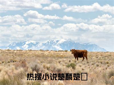 大秦请父皇退位（楚麟楚偲）全文免费阅读_楚麟楚偲正版小说全文阅读