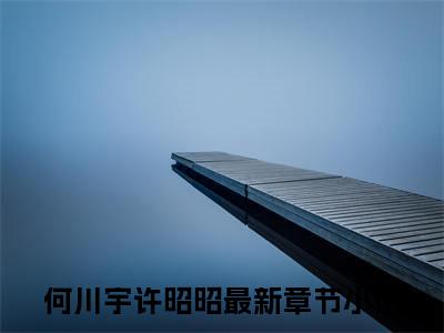 何川宇许昭昭全集免费阅读无弹窗_何川宇许昭昭完结小说榜单阅读（何川宇许昭昭小说）