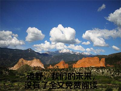 盛茵池野小说免费阅读（盛茵池野）全文免费阅读无弹窗大结局_池野，我们的未来，没有了小说免费阅读最新章节列表_笔趣阁（池野，我们的未来，没有了）