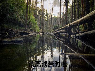 原来最痛的从不是刀伤，而是背叛（沈离浅萧时樾）全文免费阅读_沈离浅萧时樾最新章节小说免费阅读_笔趣阁原来最痛的从不是刀伤，而是背叛