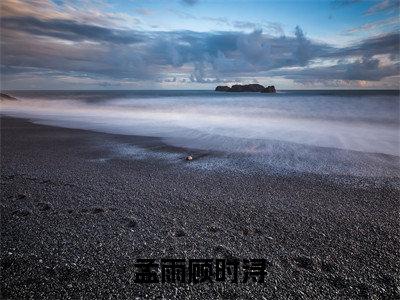 孟雨顾时浔全文免费阅读-主角为孟雨顾时浔的小说