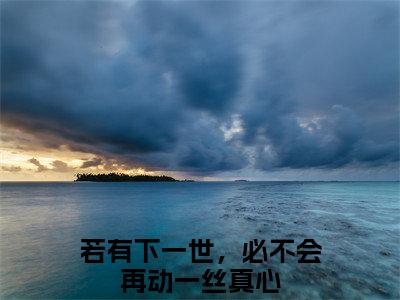 苏雅婷秦圣轩小说在哪里可以看若有下一世，必不会再动一丝真心-小说《若有下一世，必不会再动一丝真心》苏雅婷秦圣轩免费阅读