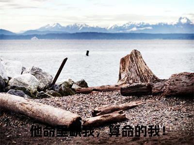 他命里缺我，算命的我！小说全文免费阅读小说秦琛璟许映热门小说完整版阅读
