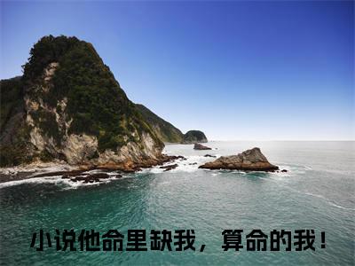 他命里缺我，算命的我！许映秦琛璟小说-他命里缺我，算命的我！小说全文免费阅读