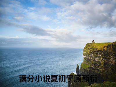夏初宁顾斯衍热门小说最新章节阅读-老书虫书荒推荐热点小说（夏初宁顾斯衍）
