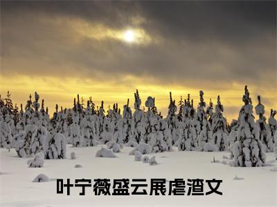 叶宁薇盛云展小说叫什么名字（叶宁薇盛云展）完整版大结局-叶宁薇盛云展小说在线阅读