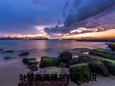 叶晓薇周瑾言（叶晓薇周瑾言）全文免费阅读无弹窗大结局_叶晓薇周瑾言最新章节列表_