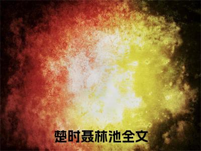 楚时聂林池全文小说温柔上上签免费在线分享-新书热荐免费小说温柔上上签