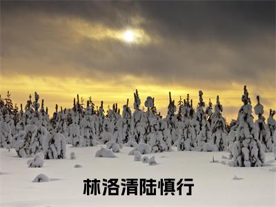 近期热门小说（林洛清陆慎行）在线阅读-林洛清陆慎行精彩小说全文赏析