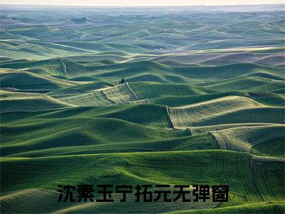 沈素玉宁拓元(沈素玉宁拓元)全文免费阅读大结局_(沈素玉宁拓元)沈素玉宁拓元免费在线阅读无删减_笔趣阁