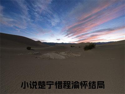 楚宁惜程渝怀（楚宁惜程渝怀无弹窗）全文免费阅读无弹窗大结局_（楚宁惜程渝怀全文免费阅读无弹窗）楚宁惜程渝怀无弹窗最新章节列表_笔趣阁