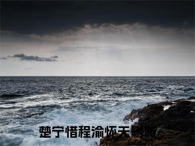 楚宁惜程渝怀（楚宁惜程渝怀）全文免费阅读无弹窗大结局_（楚宁惜程渝怀）楚宁惜程渝怀最新章节列表_笔趣阁（楚宁惜程渝怀）