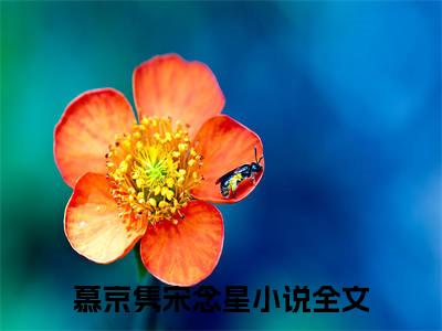 慕京隽宋念星小说(慕京隽宋念星)全文免费阅读无弹窗大结局_慕京隽宋念星小说免费阅读无弹窗最新章节列表
