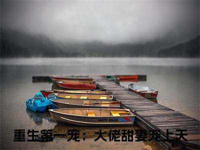 重生第一宠：大佬甜妻宠上天（顾九辞霍明澈）免费阅读无弹窗大结局_（顾九辞霍明澈）重生第一宠：大佬甜妻宠上天最新章节列表_笔趣阁