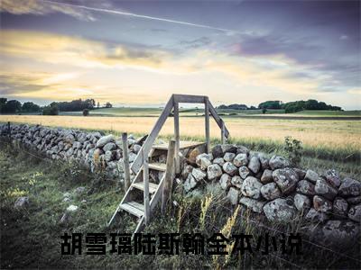 胡雪璃陆斯翰是什么 胡雪璃陆斯翰免费阅读全文