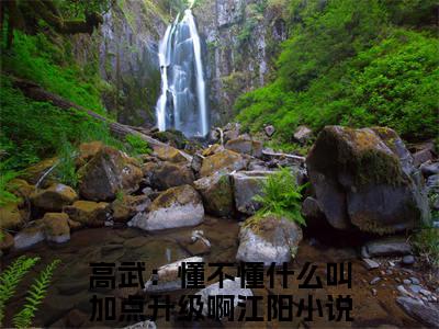 高武：懂不懂什么叫加点升级啊江阳是什么小说-高武：懂不懂什么叫加点升级啊江阳免费小说在线阅读