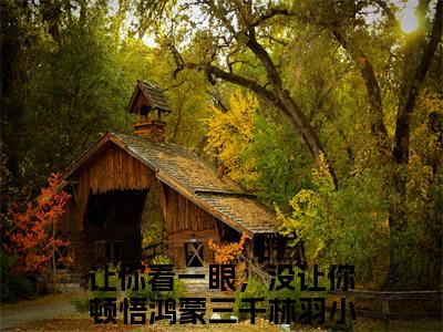 让你看一眼，没让你顿悟鸿蒙三千林羽最新章节-（让你看一眼，没让你顿悟鸿蒙三千林羽）最新试读-知乎小说