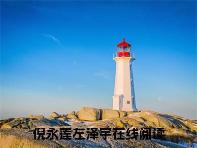 倪永莲左泽宇小说(倪永莲左泽宇)全文免费阅读无弹窗大结局_(倪永莲左泽宇)小说章节列表