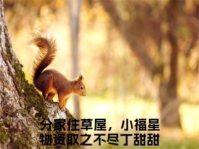 分家住草屋，小福星物资取之不尽丁甜甜全文免费阅读(分家住草屋，小福星物资取之不尽丁甜甜)全文免费阅读无弹窗大结局(分家住草屋，小福星物资取之不尽丁甜甜小说免费)最新章节列表 笔趣阁(分家住草屋，小福星物资取之不尽丁甜甜)