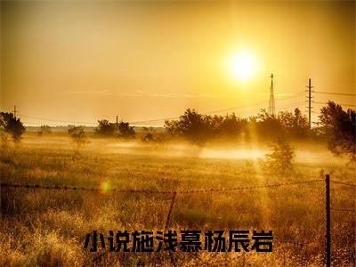 施浅慕杨辰岩是什么小说-施浅慕杨辰岩全文免费阅读无弹窗大结局（施浅慕杨辰岩）最新章节阅读