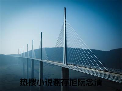 热文（谢存旭阮念清）在线阅读-主角叫即便有愧，亦不会后悔的小说（谢存旭阮念清）完整版免费阅读全文最新章节列表_笔趣阁