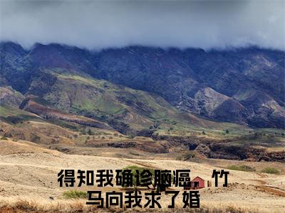 得知我确诊脑癌，竹马向我求了婚（江惟砚许熙颜）全文免费阅读无弹窗大结局_（江惟砚许熙颜无弹窗）_笔趣阁
