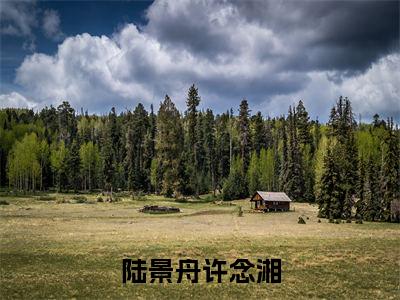 陆景舟许念湘小说全文免费阅读_陆景舟许念湘（陆景舟许念湘）最新章节列表笔趣阁