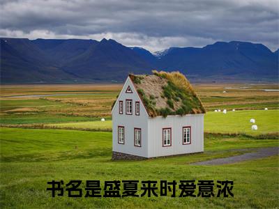 盛夏来时爱意浓：宋依然傅思明阅读无弹窗大结局_（盛夏来时爱意浓阅读无弹窗）最新章节列表_笔趣阁（盛夏来时爱意浓）