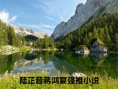 陆芷昔蒋鸿宴（陆芷昔蒋鸿宴最新全章节大结局）全文阅读
