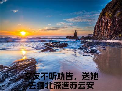 女友不听劝告，送她去缅北深造苏云安（女友不听劝告，送她去缅北深造苏云安）全文免费阅读无弹窗大结局_女友不听劝告，送她去缅北深造苏云安在线阅读（女友不听劝告，送她去缅北深造苏云安）