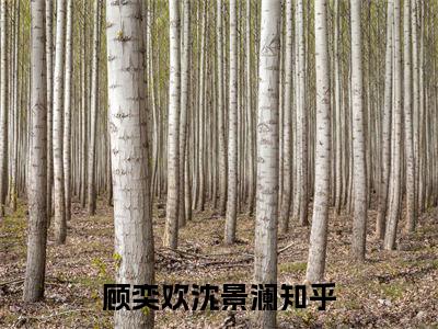 顾奕欢沈景澜分享一本言情小说 顾奕欢沈景澜免费章节试读