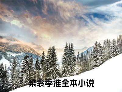 梁衾季淮小说（梁衾季淮）全文免费阅读无弹窗大结局_梁衾季淮小说最新章节列表_笔趣阁（梁衾季淮）