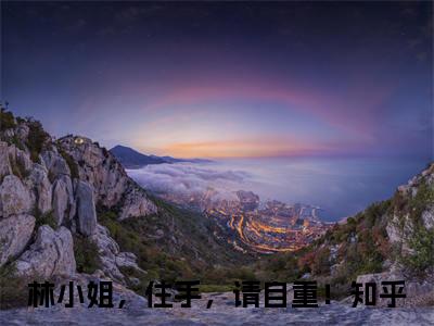 林泱程野小说免费阅读-林小姐，住手，请自重！完整版全文大结局