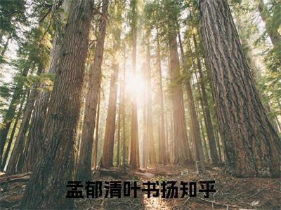 孟郁清叶书扬（孟郁清叶书扬）全文免费阅读大结局-孟郁清叶书扬最新章节免费阅读大结局