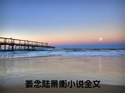 姜念陆景衡免费阅读无广告 （姜念陆景衡大结局免费阅读）姜念陆景衡是啥小说