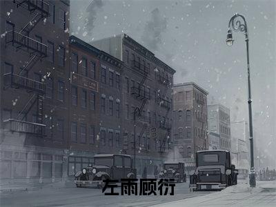 左雨顾衍（左雨顾衍）全文免费阅读无弹窗大结局_左雨顾衍在线阅读（左雨顾衍）